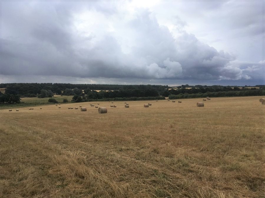 Looking over the Wensum valley from Cathedral Meadows 