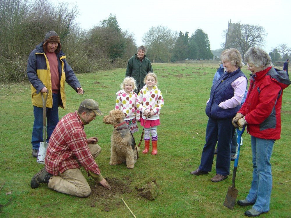 Jubilee Wood Extension in 2012 - working party