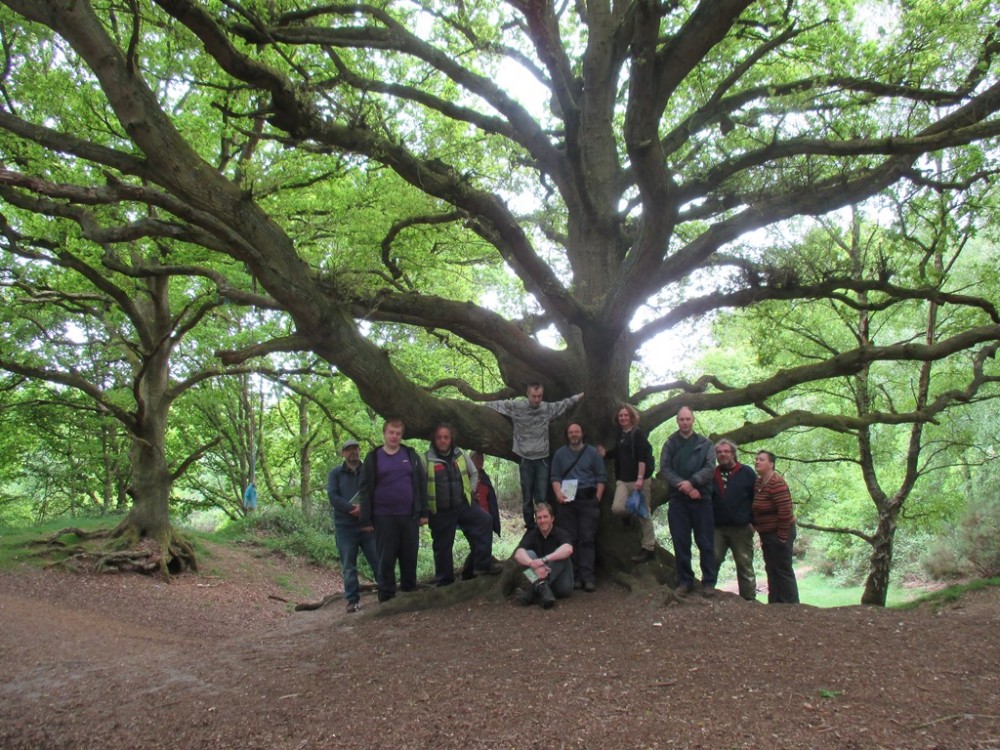 Mid Norfolk Conservation Group under an amazing tree