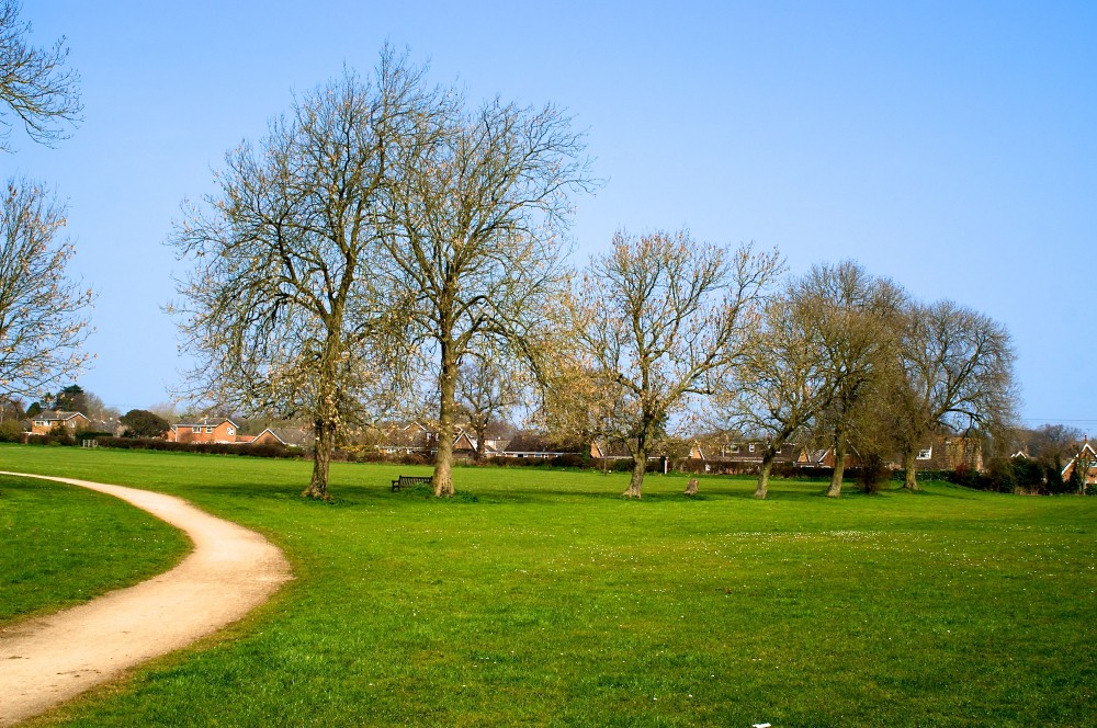 The Village Green